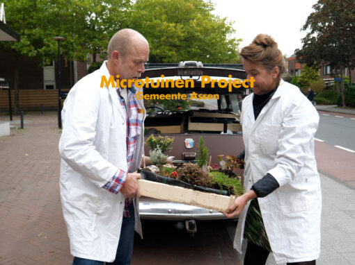 Microtuinen project, Gemeente Assen