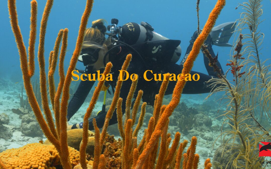 Scuba Do Curacao