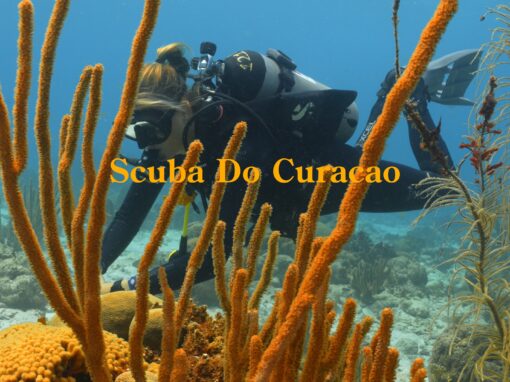 Scuba Do Curacao